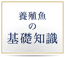 養殖魚の基礎知識