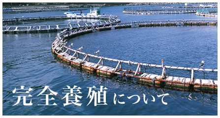 完全養殖について