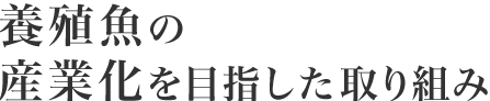 養殖魚の品種改良について