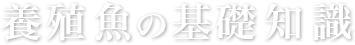 養殖魚の基礎知識