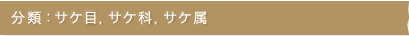 分類