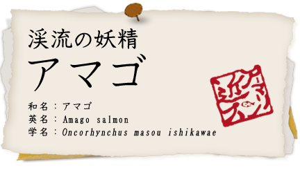 アマゴ