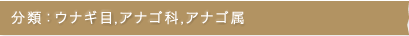 分類