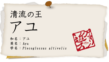 アユ
