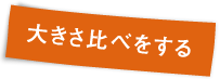 大きさ比べ