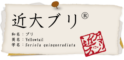 ブリ