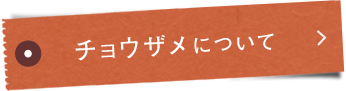 チョウザメ®について