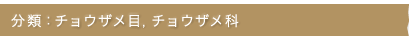 分類