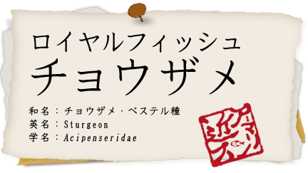 チョウザメ