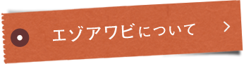 エゾアワビ®について