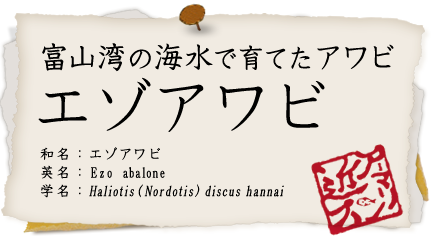 エゾアワビ