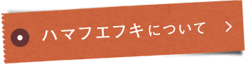 ハマフエフキ®について