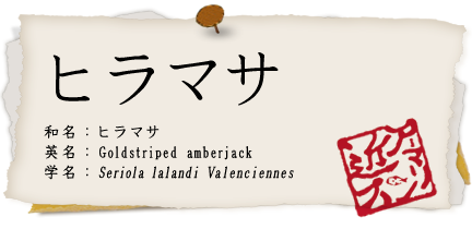 ヒラマサ