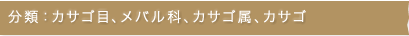 分類