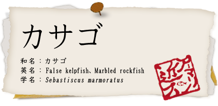 カサゴ