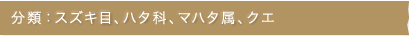 分類