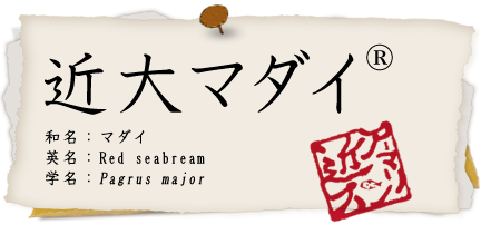 マダイ