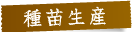 種苗生産