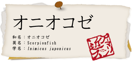 オニオコゼ