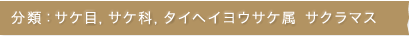 分類