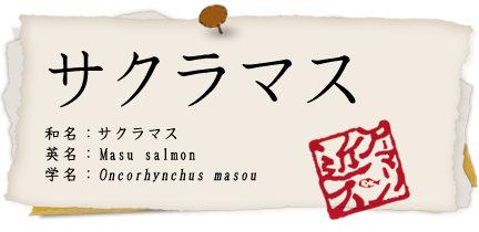 サクラマス