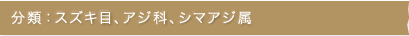 分類