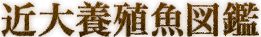 近大魚図鑑
