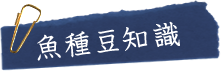魚種豆知識