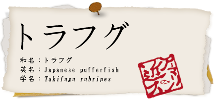トラフグ