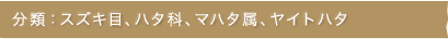 分類