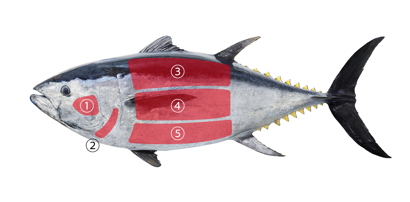 マグロ部位